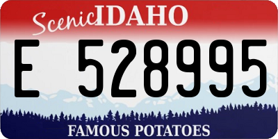 ID license plate E528995