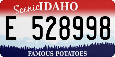 ID license plate E528998