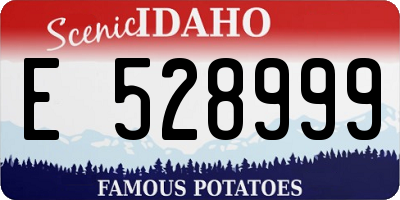 ID license plate E528999