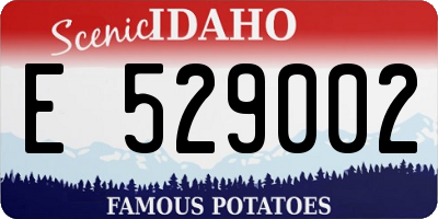 ID license plate E529002