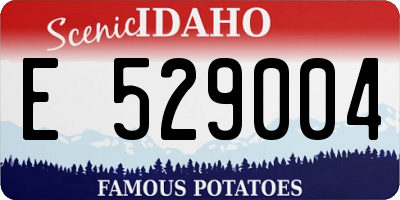 ID license plate E529004