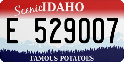 ID license plate E529007