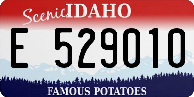 ID license plate E529010