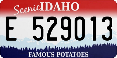 ID license plate E529013