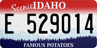 ID license plate E529014
