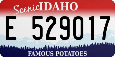 ID license plate E529017