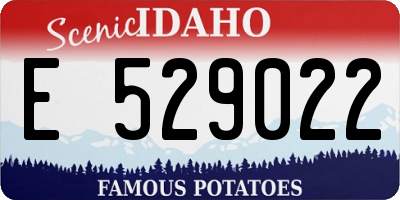 ID license plate E529022