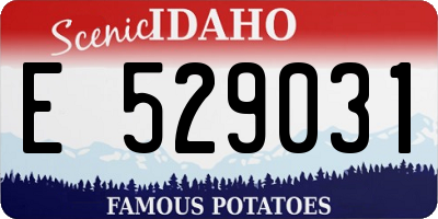 ID license plate E529031