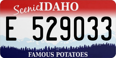 ID license plate E529033