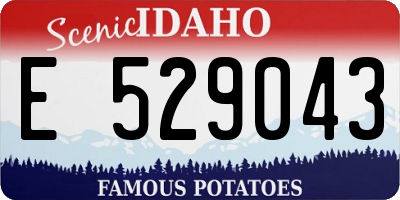 ID license plate E529043
