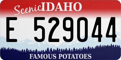 ID license plate E529044