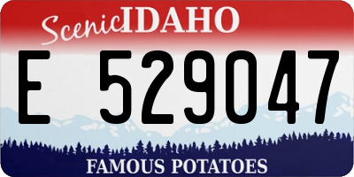 ID license plate E529047