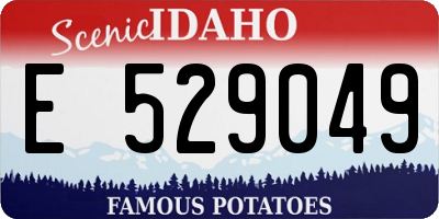 ID license plate E529049