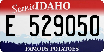 ID license plate E529050