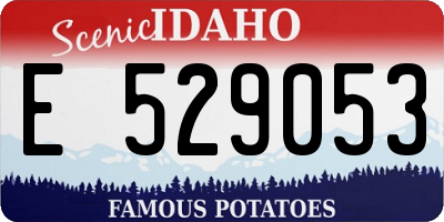 ID license plate E529053