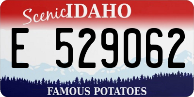 ID license plate E529062