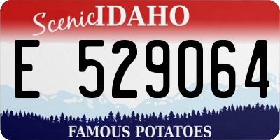 ID license plate E529064