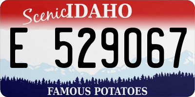 ID license plate E529067