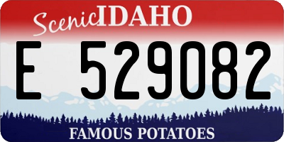ID license plate E529082