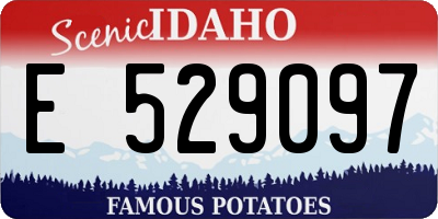 ID license plate E529097