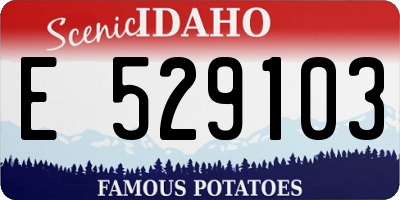 ID license plate E529103