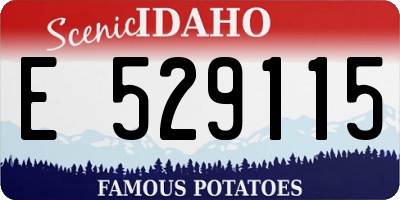 ID license plate E529115