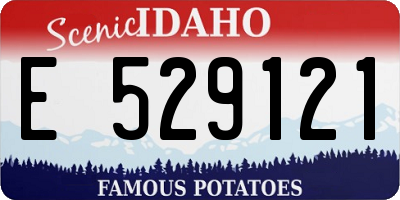 ID license plate E529121