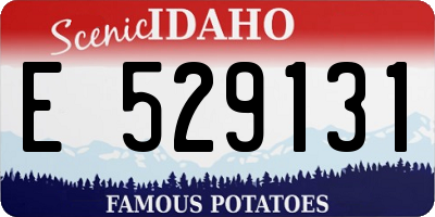 ID license plate E529131