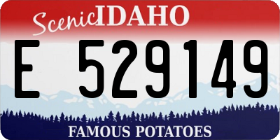 ID license plate E529149