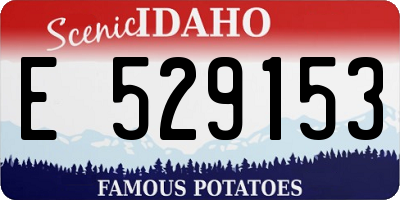 ID license plate E529153