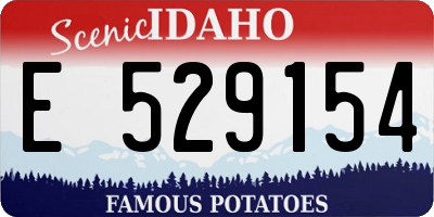 ID license plate E529154