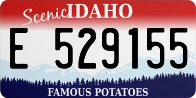 ID license plate E529155