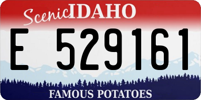 ID license plate E529161