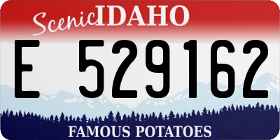 ID license plate E529162