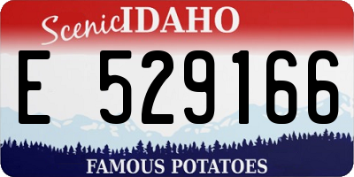 ID license plate E529166