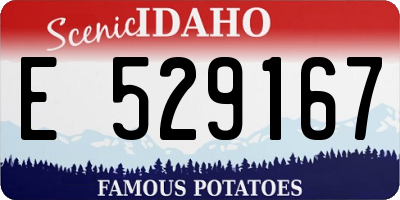 ID license plate E529167