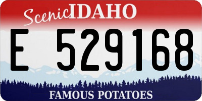ID license plate E529168