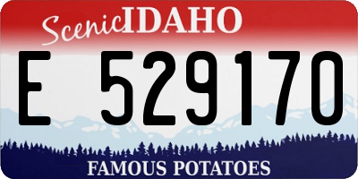 ID license plate E529170