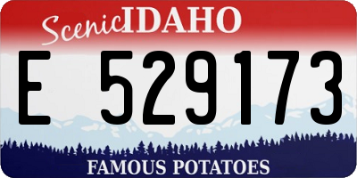 ID license plate E529173
