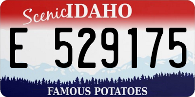 ID license plate E529175