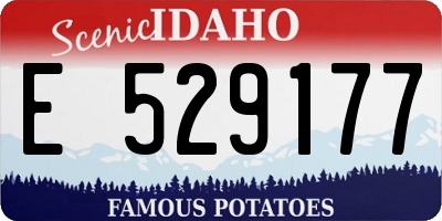 ID license plate E529177
