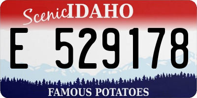 ID license plate E529178