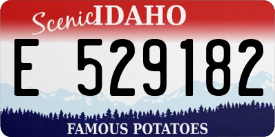 ID license plate E529182