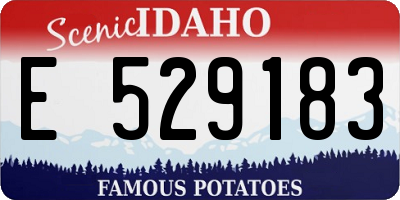 ID license plate E529183