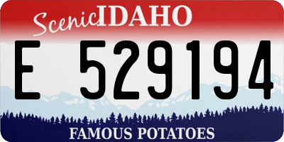 ID license plate E529194