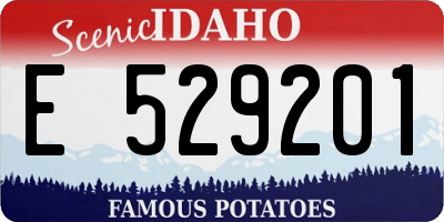 ID license plate E529201