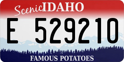 ID license plate E529210