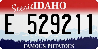 ID license plate E529211