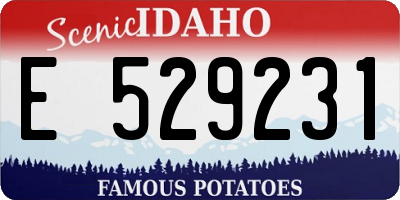 ID license plate E529231