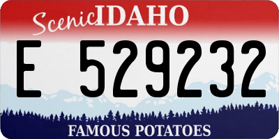 ID license plate E529232
